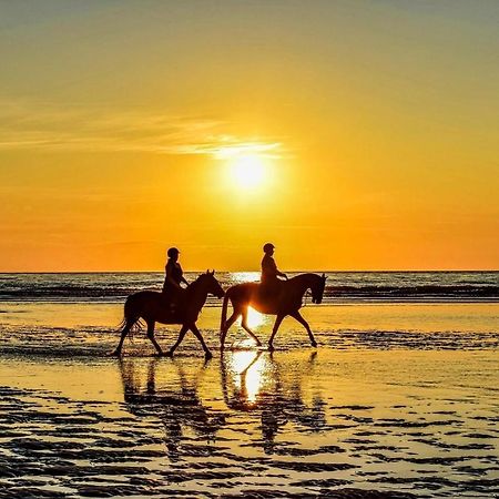 Horizon Bleu Lejlighed Deauville Eksteriør billede